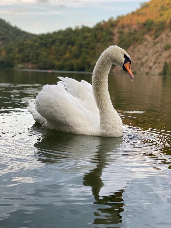 Hotel Cabana Ana Ilovita Zewnętrze zdjęcie